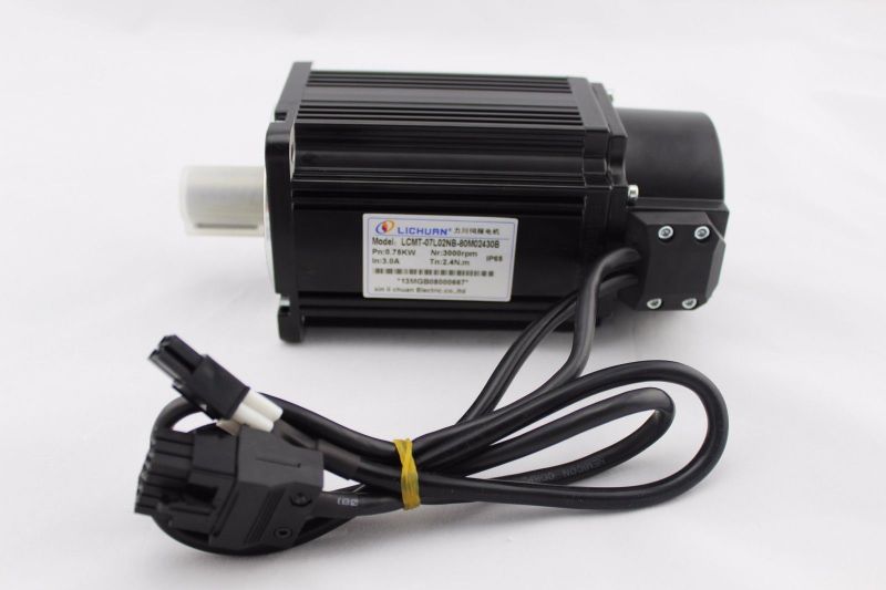 File:Lichuan LCMT-07L02-80M02430 eBay lichuan motor 173835511299 Photo 2.jpg